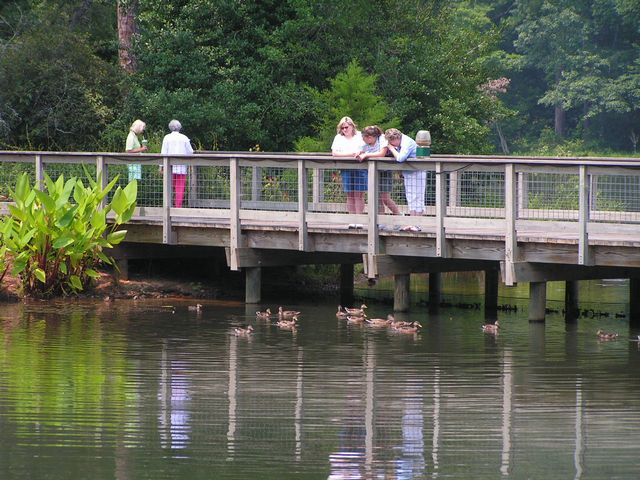 Click to display next picture