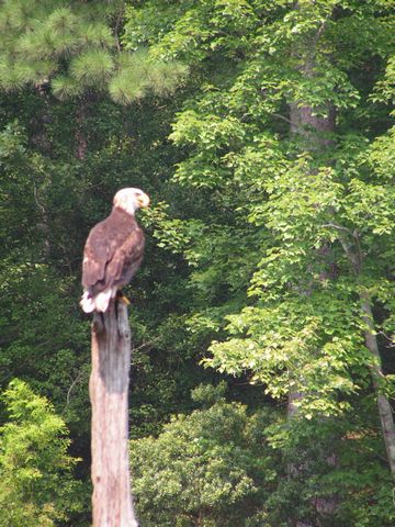 Click to display next picture