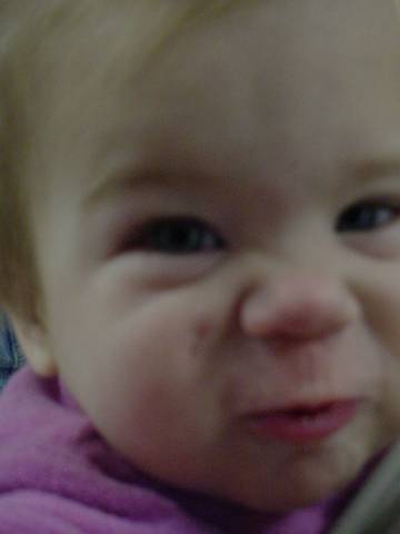 Click to display next picture