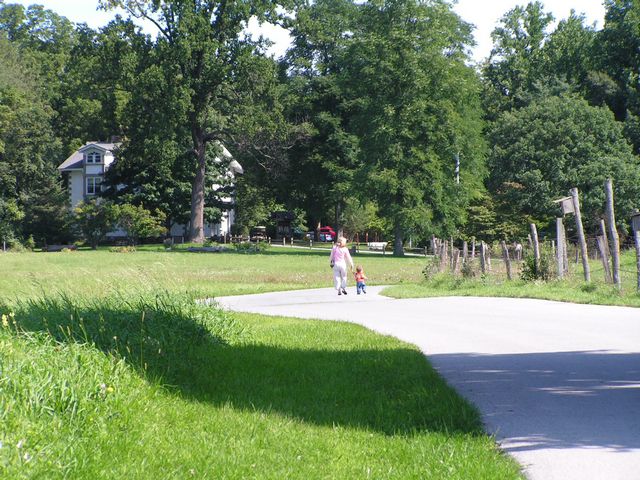 Click to display next picture