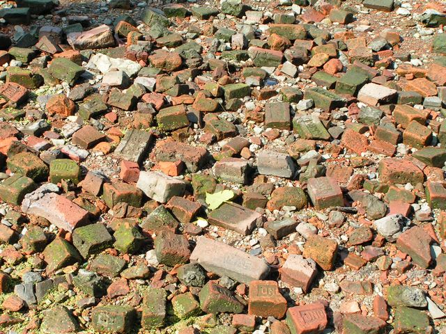 Click to display next picture