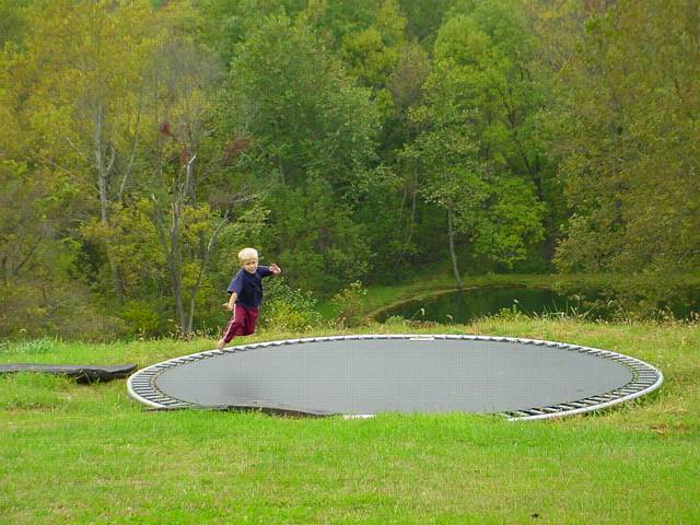 Click to display next picture