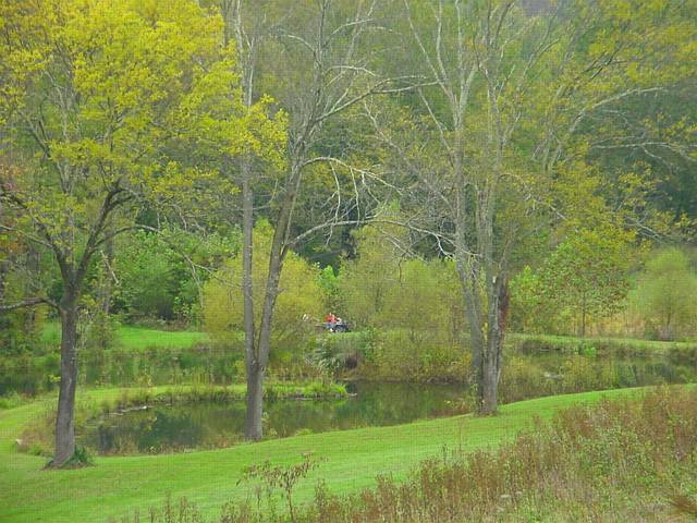 Click to display next picture