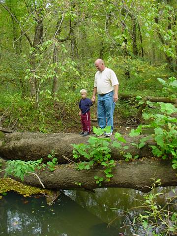 Click to display next picture