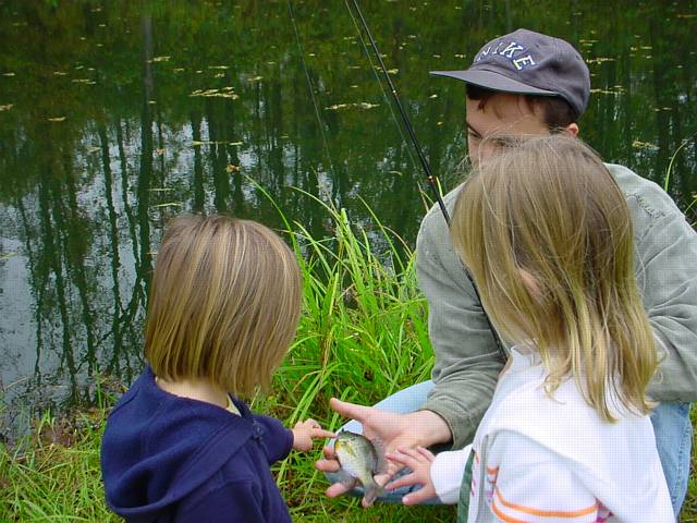 Click to display next picture