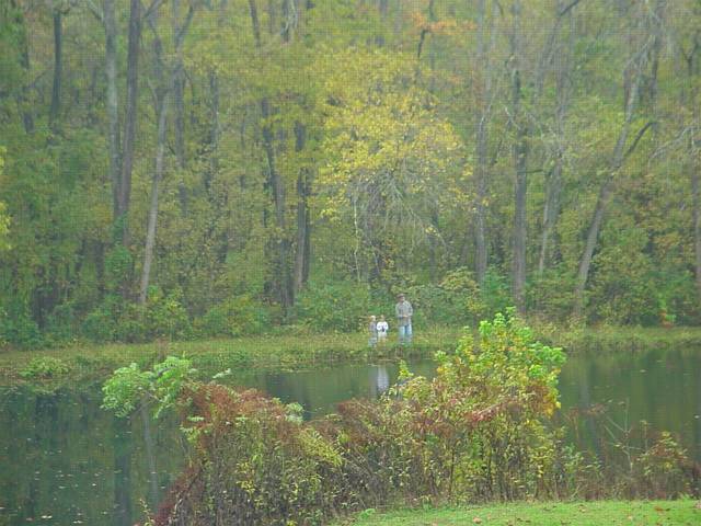 Click to display next picture