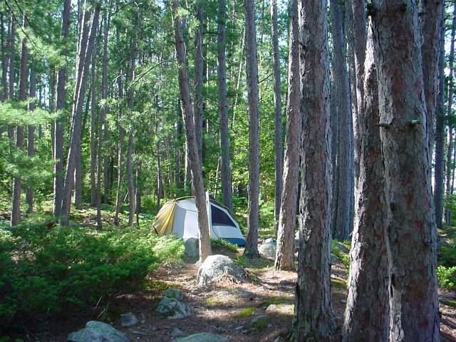 Click to display next picture