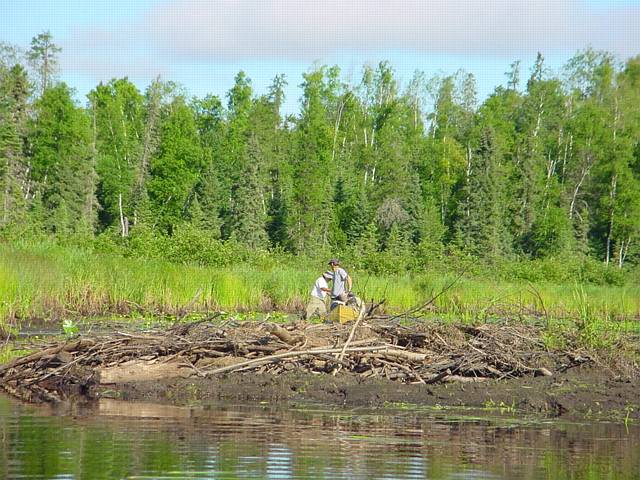 Click to display next picture