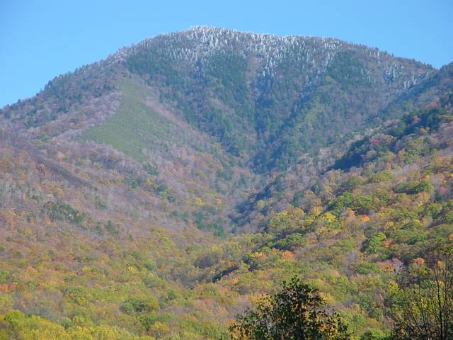 Click to display next picture