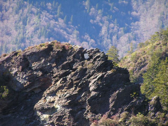 Click to display next picture