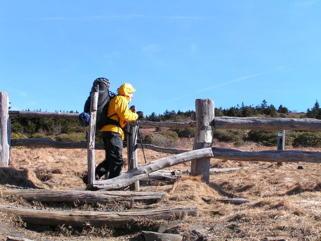 Click to display next picture