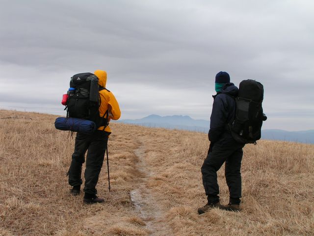 Click to display next picture