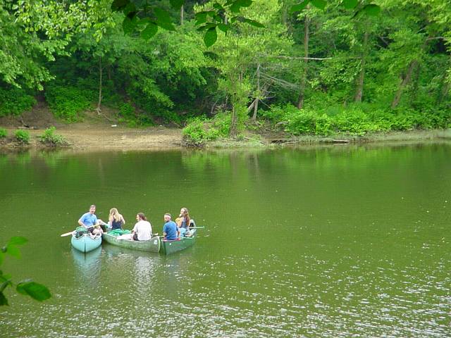 Click to display next picture