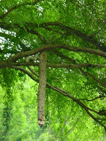 Click to display next picture