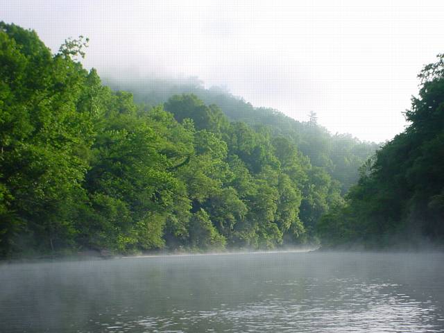 Click to display next picture