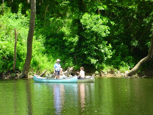 Click to display next picture