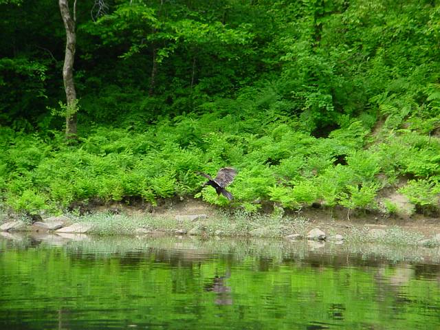 Click to display next picture