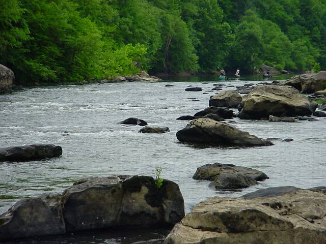 Click to display next picture