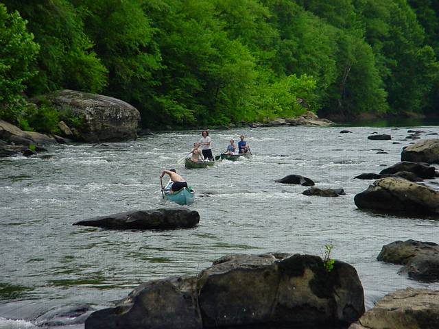 Click to display next picture