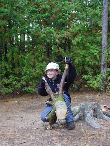 Click to display next picture