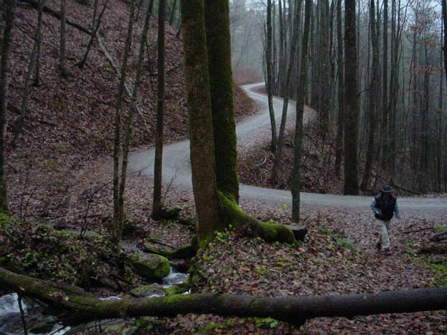 Click to display next picture