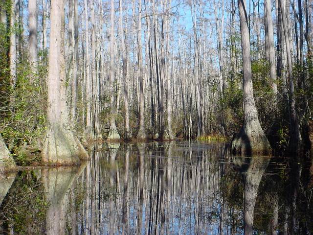 Click to display next picture