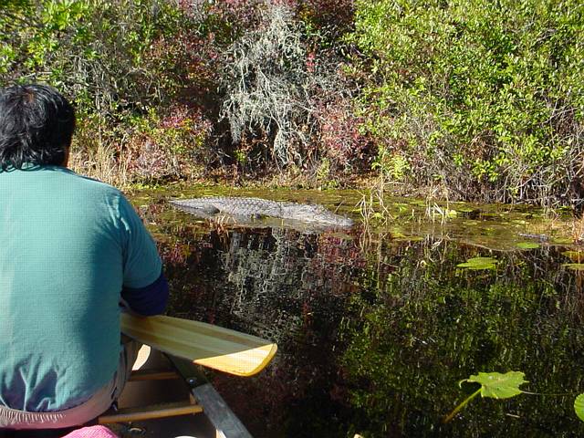 Click to display next picture