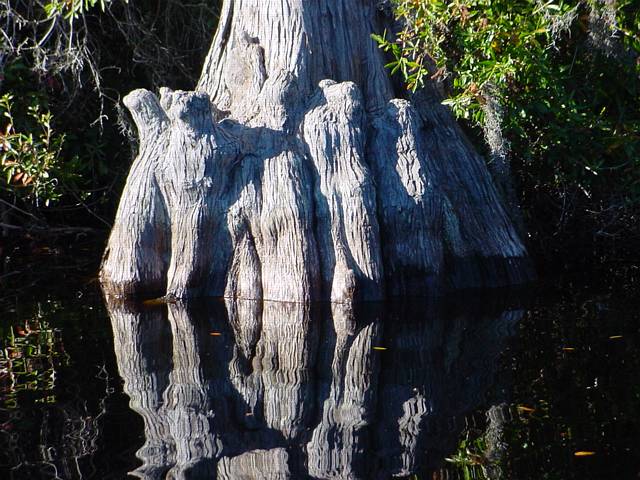 Click to display next picture