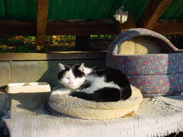 Click to display next picture