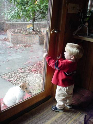 Click to display next picture