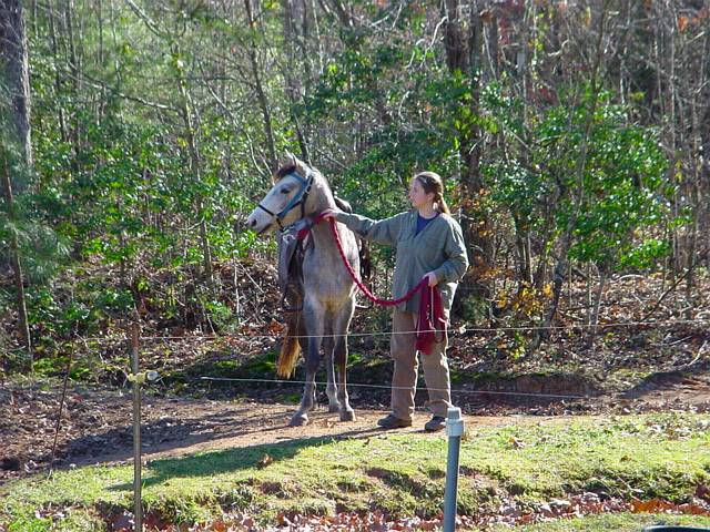 Click to display next picture