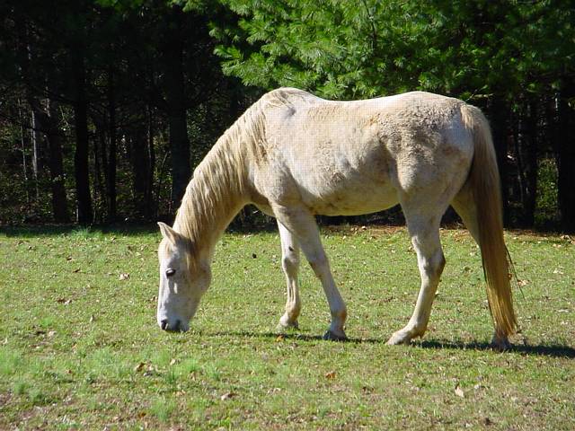 Click to display next picture