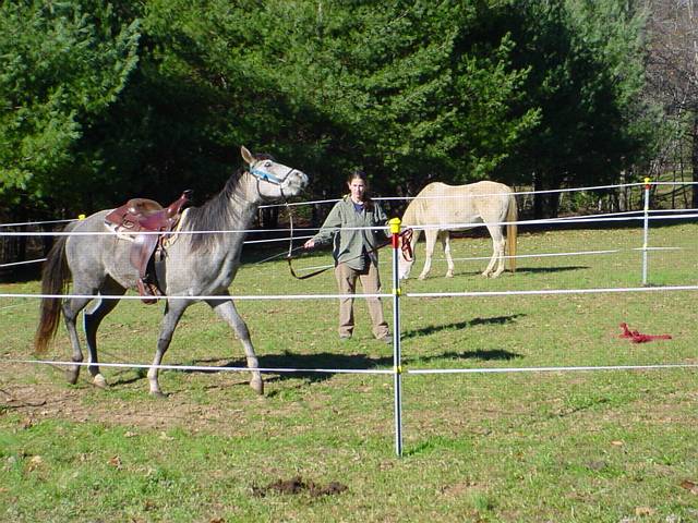 Click to display next picture