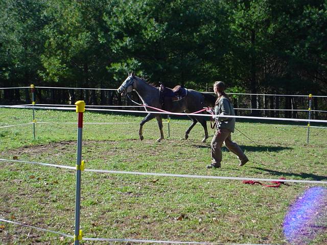 Click to display next picture