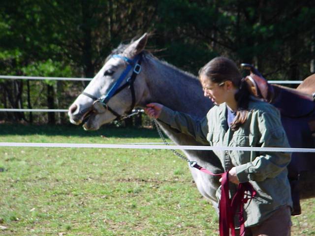 Click to display next picture