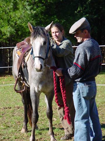 Click to display next picture