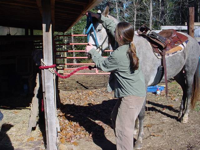 Click to display next picture